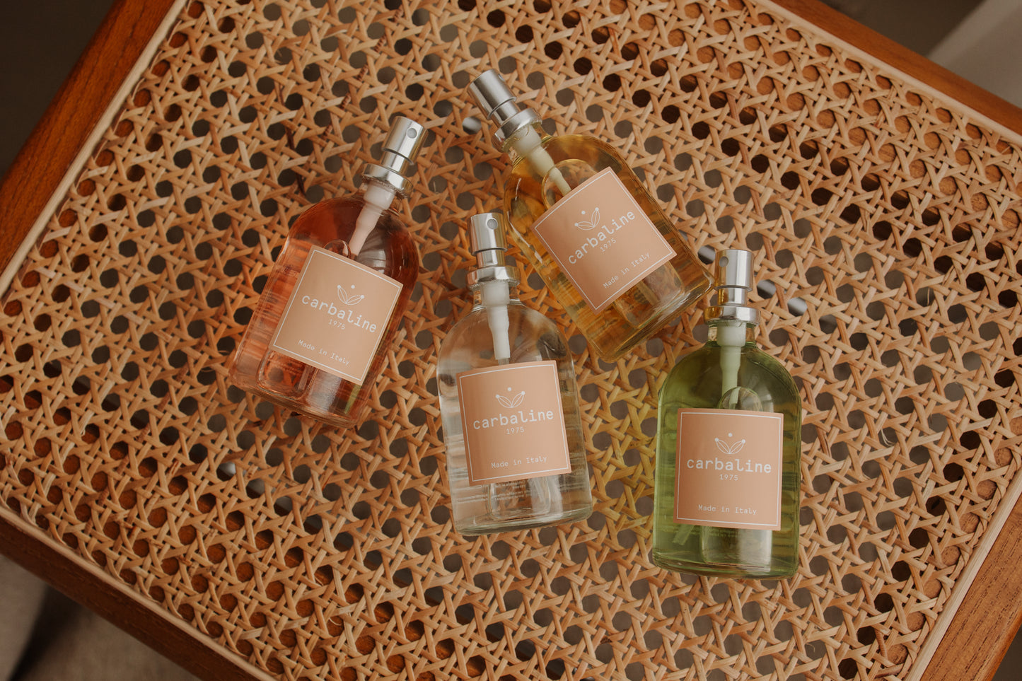 Carbaline Home spray 100 ml