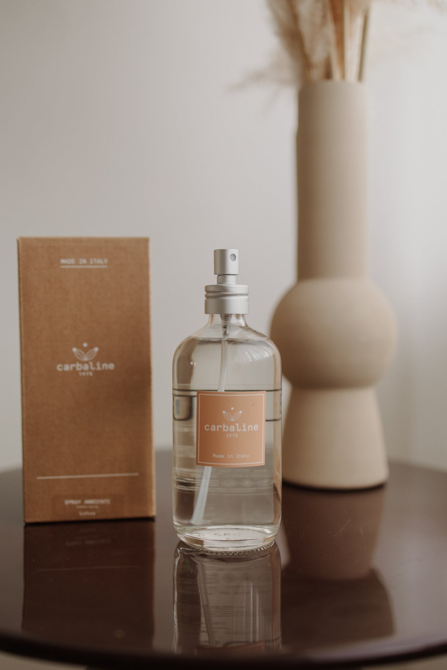 Carbaline Home spray 250 ml